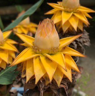 Meditation & Creative Visualization