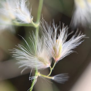 Emotional Release & Inner Healing