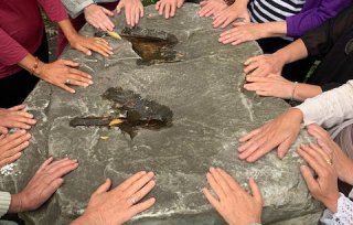 Spontaneous Happenings