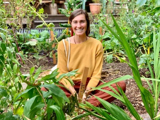 Gardening Your Imagination